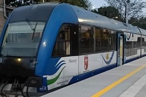 Chuligański wybryk czy celowe działanie?