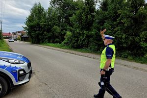 Czterech kierowców, zero odpowiedzialności