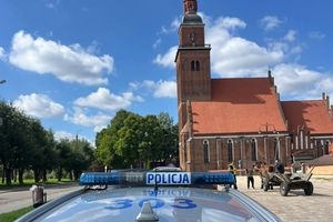 Koń cofając uderzył w toyotę – woźnica miał 1,8 promila