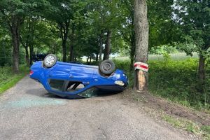 Jazdę zakończył na drzewie. Był nietrzeźwy i nie miał uprawnień