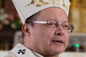 Kilka dalszych uwag do kardynała Rysia