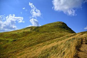 Zostawmy dzikie Bieszczady! Znamy wyniku SONDAŻU