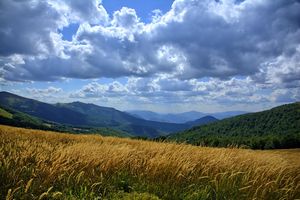 Bieszczady: Oaza dzikości czy teren do rozwoju? [SONDAŻ]