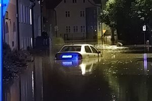 Tolkmicko pod wodą. Powódź zalała miasteczko nad Zalewem Wiślanym [ZDJĘCIA / WIDEO] 