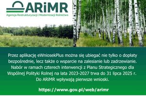 Interwencje leśne lub zadrzewieniowe kampania 2025
