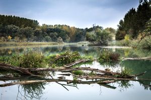 Ponad 3 mln zł na ochronę bioróżnorodności na polsko-słowackiej granicy
