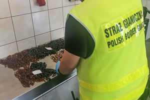 230 naszyjników z bursztynu ukrytych w aucie! Przemyt udaremniony na granicy 
