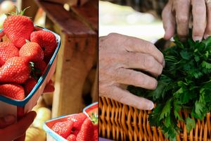 Starostwo zaprasza - pokaż swój produkt lokalny