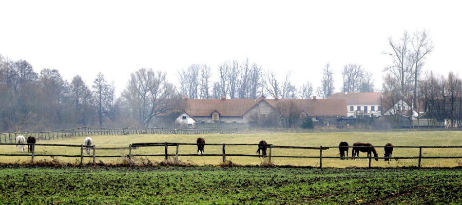 Majątek Nory. Widok z 2011 r.
