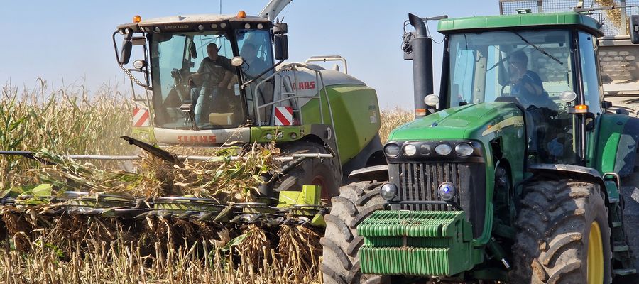 Zbiory kukurydzy