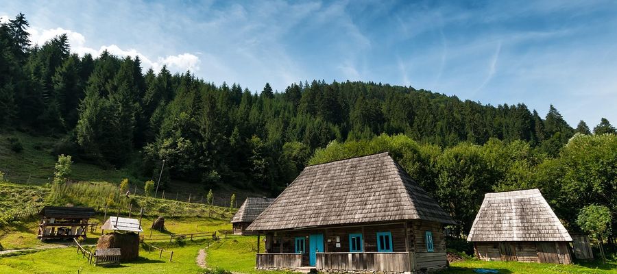 Zdjęcie jest ilustracją do tekstu