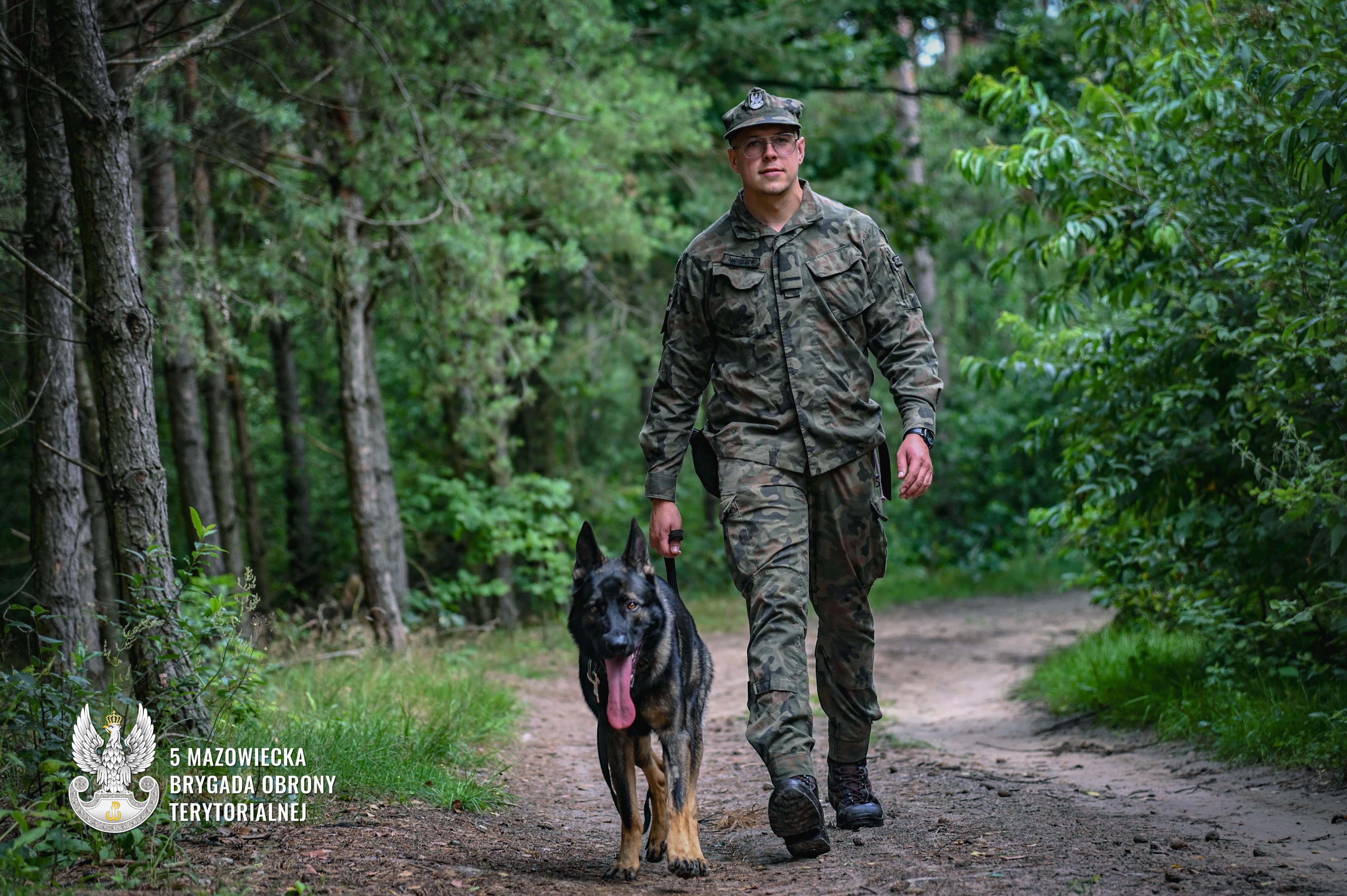 https://m.wm.pl/2025/08/orig/drugi-pies-ratownik-w-5-mazowieckiej-brygadzie-obrony-terytorialnej-1-1318647.jpg