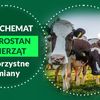 
Ma być szybciej i prościej - zmiany w ekochemacie Dobrostan zwierząt