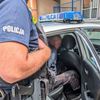 Skradzionym pojazdem spowodował kolizję