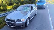 Łoś wbiegł pod BMW. Poranny wypadek w gminie Iława