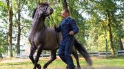 Konik Polski: Wolność w lesie 