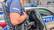 Skradzionym pojazdem spowodował kolizję