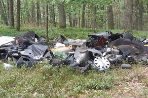 Wywiezienie śmieci z lasów w ubiegłym roku kosztowało 34 mln złotych 