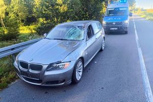 Łoś wbiegł pod BMW. Poranny wypadek w gminie Iława