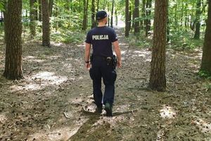 Senior poszedł do lasu na grzyby i się zgubił. Rodzina wezwała pomoc