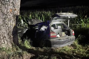 Samochód uderzył w drzewo. Za kierownicą 18-latek bez prawa jazdy