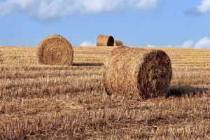 Bądź bezpieczny w czasie żniw i prac sezonowych