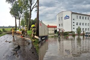 Burze, ulewy i przewrócone drzewa. Strażacy mieli dużo pracy 
