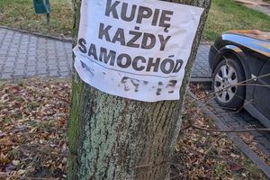Nielegalne plakaty szpecą Olsztyn. Sprawdź, jakie kary grożą za dzikie wyklejanie