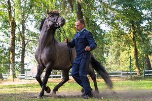Konik Polski: Wolność w lesie 