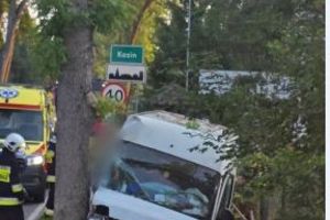 Kierowca uderzył w drzewo, reanimowali go strażacy