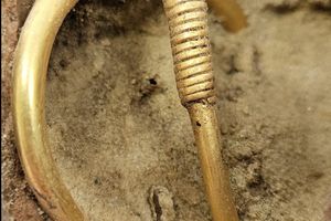Sensacja archeologiczna: Naszyjnik sprzed 2000 lat znaleziony w lesie!