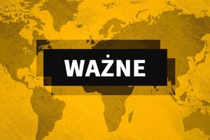 Badanie na temat wynagrodzenia minimalnego. Wypełnij ankietę