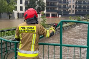 Elbląg sprząta Kumielę. Po letniej powodzi ruszyły prace w korycie rzeki