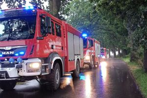 Tragiczny wypadek na drodze powiatowej. 30-letni Gruzin zginął na miejscu