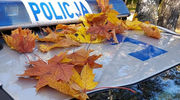 Jesienne drogi pełne pułapek. Policja apeluje o ostrożność