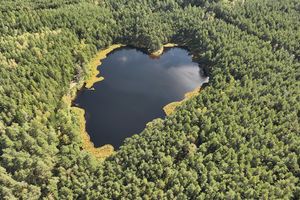 Mazurski Park Krajobrazowy poleca: Kruczek Mały