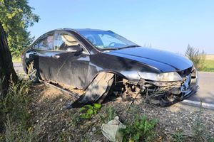 Uderzył hondą w pień drzewa – miał 1,5 promila