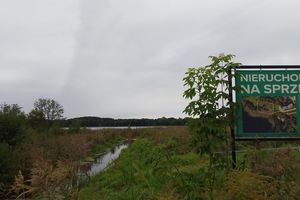 Chcą chronić brzegi jeziora przed zakusami deweloperów 