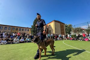 Bezpieczna droga do szkoły