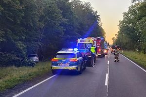 Zdarzenie drogowe z dziką zwierzyną
