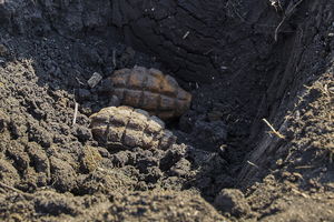 21 zabitych w ataku Rosji na Jarową