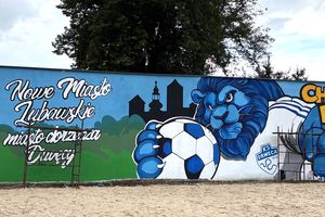 Nowe murale w szkolnej przestrzeni miasta