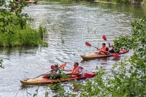 Drwęca czeka na wolontariuszy w akcji „Sprzątanie świata 2025”