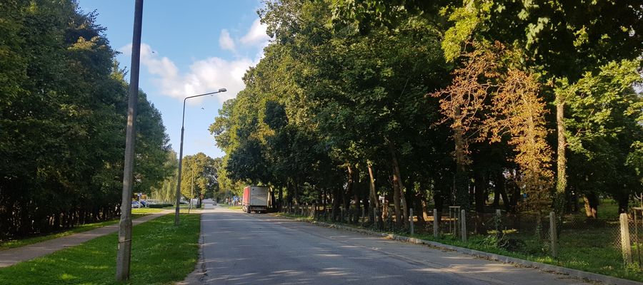 Do zdarzenia doszło na ul. Sienkiewicza/zdjęcie archiwalne