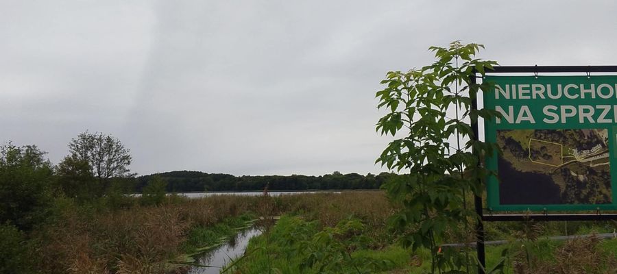 Władze Olsztyna chcą mieć wpływ na zagospodarowanie brzegów jeziora Kortowskiego