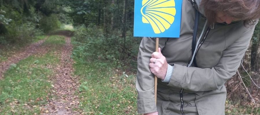 Muszle św. Jakuba są znakiem Camino Polaco