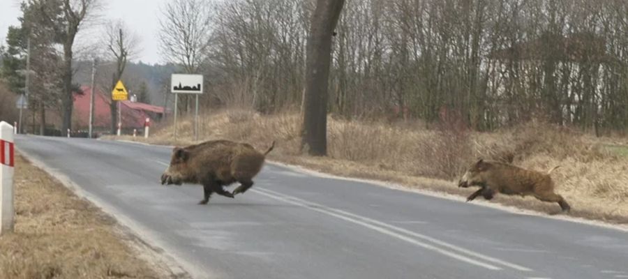 Zdjęcie ilustracyjne