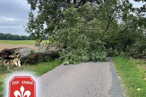 Wiatr przewrócił drzewo na drogę. W akcji OSP Samin