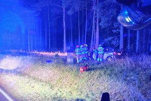 Osobówka zderzyła się z łosiem. Cztery osoby trafiły do szpitala