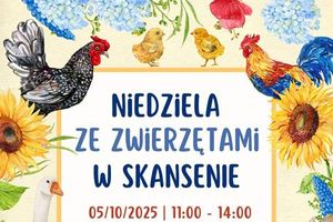Dzień w zagrodzie w skansenie. A tam owce, konie i kozy 